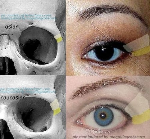 anatoref:Eyes of Different RacesRow 1, 5 (Right) &...