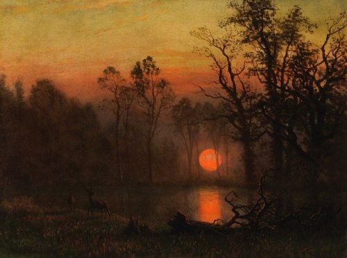 buffalo-divine-eden-resurrected: Albert Bierstadt