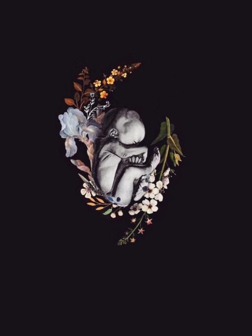 doula midwife pregnancy art careers natural birth cesarean pregnancy