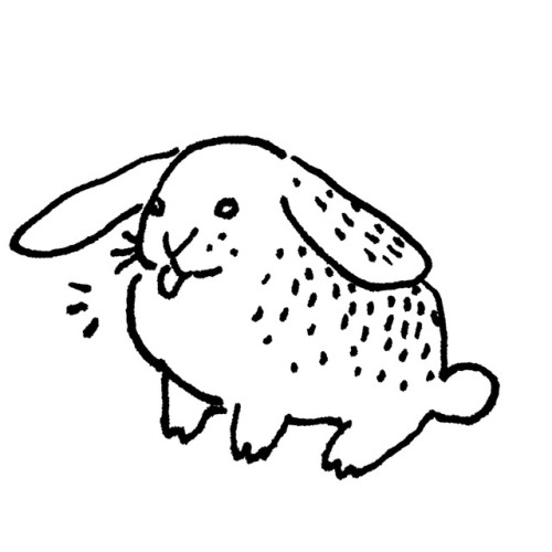 c.b titania bunny bun rabbits drawing ink comic cartoon cute style pets bunnies