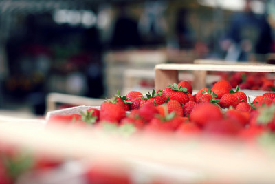 Fragole Tumblr