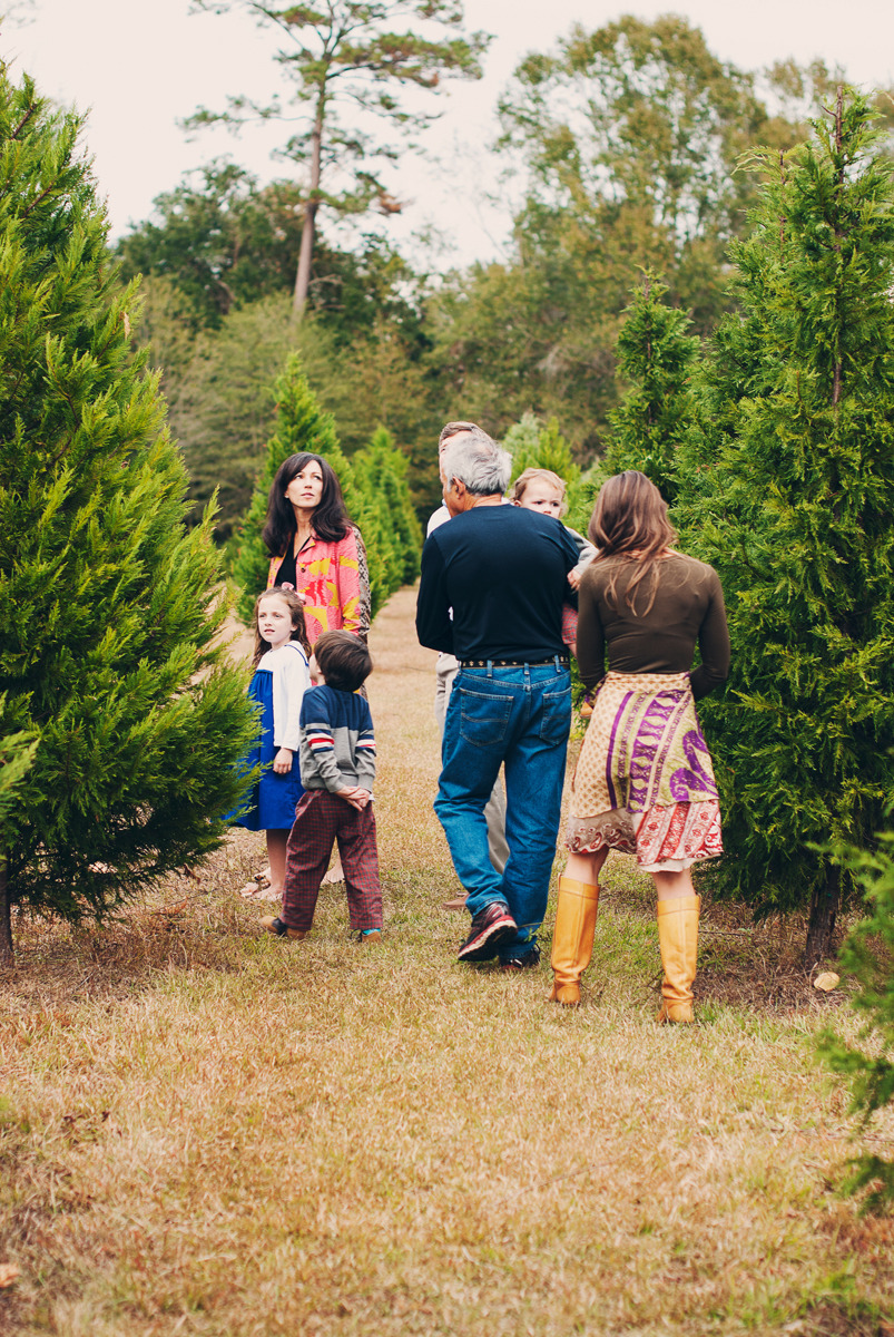 deck your halls with a louisiana grown christmas tree from country pines christmas tree farm there are many louisiana christmas tree farms just north of - Christmas Tree Farm Louisiana deck your halls with a louisiana grown christmas tree from country pines christmas tree farm there are many louisiana christmas tree farms just north of - Christmas Tree Farm Louisiana