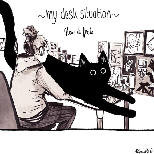 mariette-g:Desk situation.Fellow cats owners, how true is...