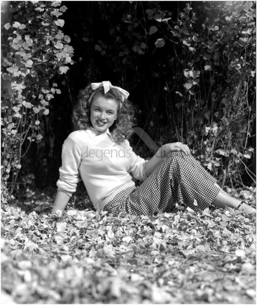 andre de dienes norma jeane marilyn monroe pink pullover