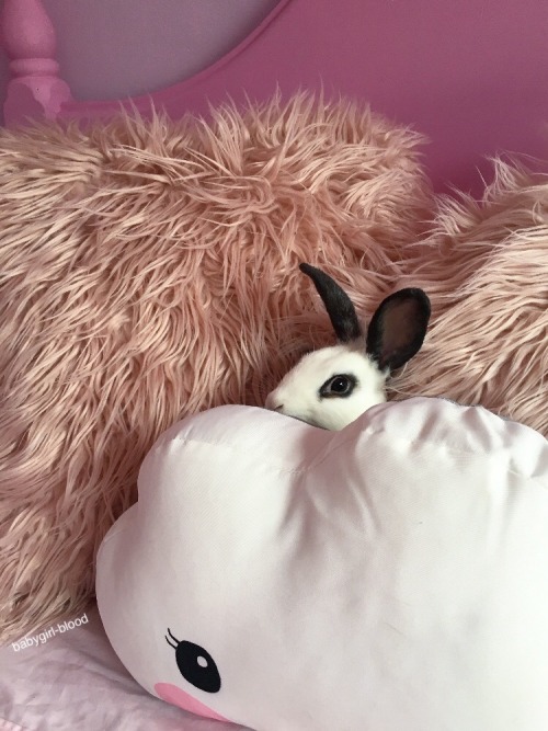 babygirl-blood:Lazy days with my little Luna-bun 