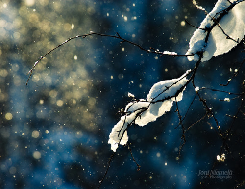 ponderation:Let It Snow, Let It Snow, Let It Snow by Joni...