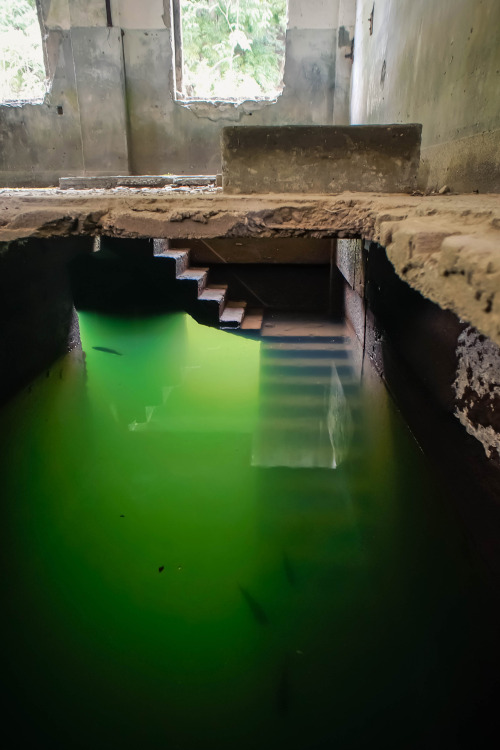 elugraphy:湖に浮かぶ発電所Abandoned power station on the lake.