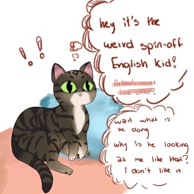 tumblr squish that cat