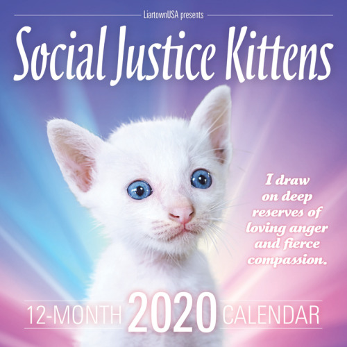 ANNOUNCING THE 2020 SOCIAL JUSTICE KITTENS CALENDARIt’s 2020,...