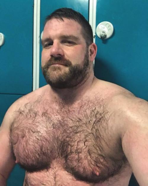 Hairy Bears