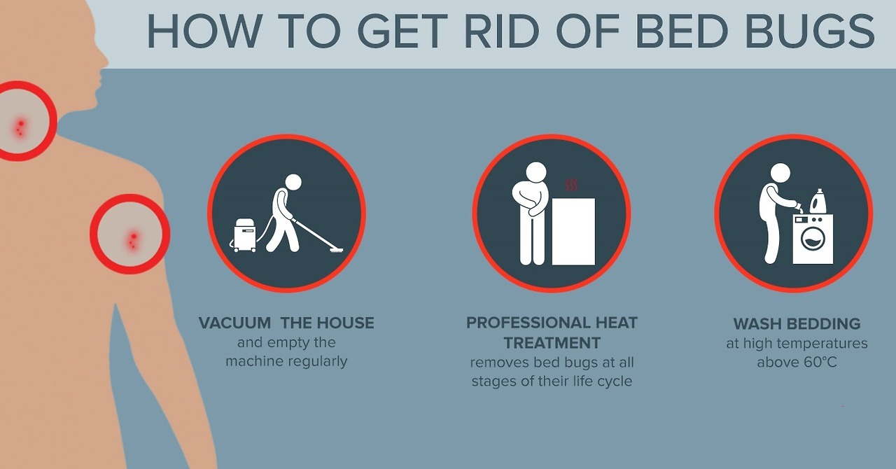 Helpfulforhomes — How to Treat Bed Bugs | Heat Treatment  