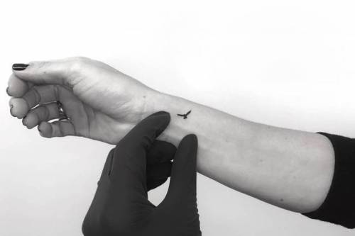 By Kevin King · Blvckwork, done at Bang Bang Tattoo, Manhattan.... small;micro;animal;tiny;kevinking;bird;ifttt;little;wrist;minimalist