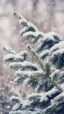 Featured image of post Iphone Tumblr Snow Background - It&#039;s where your interests connect you with your people.