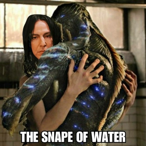 #snapeofwater #shapeofwater #mene #lol #snape #nerdy #nerds...