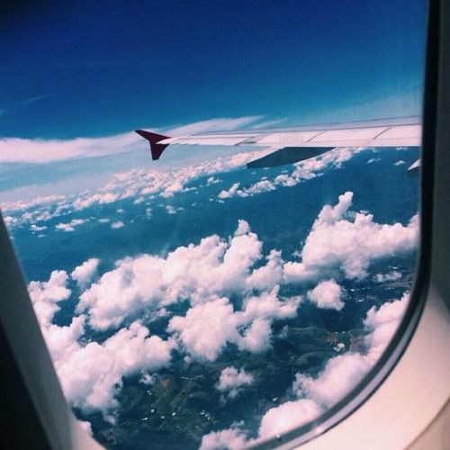 trasemc:Airplane views