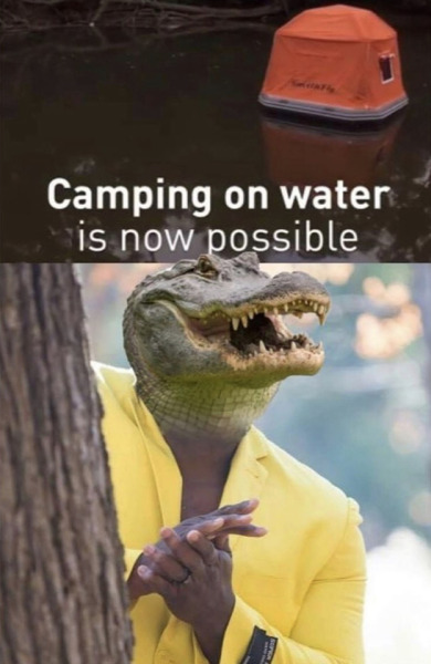 Funny Crocodile Tumblr