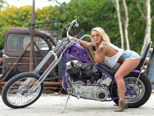 HARLEY'S AND SWEET CHICKS