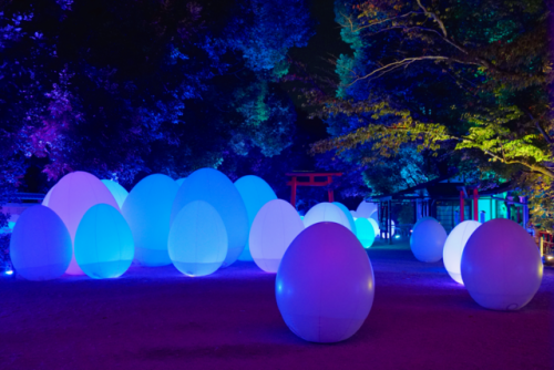 chitaka45:京都 下鴨神社「糺の森の光の祭」ライトアップ&ステンドグラスLight Festival in...