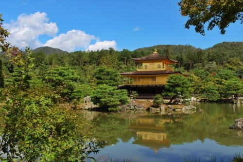 chitaka45:地震後 金閣寺早朝からすばやい復旧作業で拝観できたKinkakuji temple after...