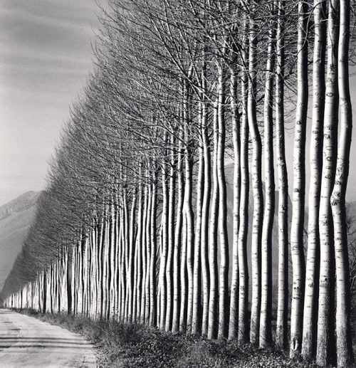 archatlas:Michael Kenna