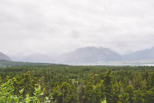 adm-kng:Waterton Park, Alberta | instagram | prints