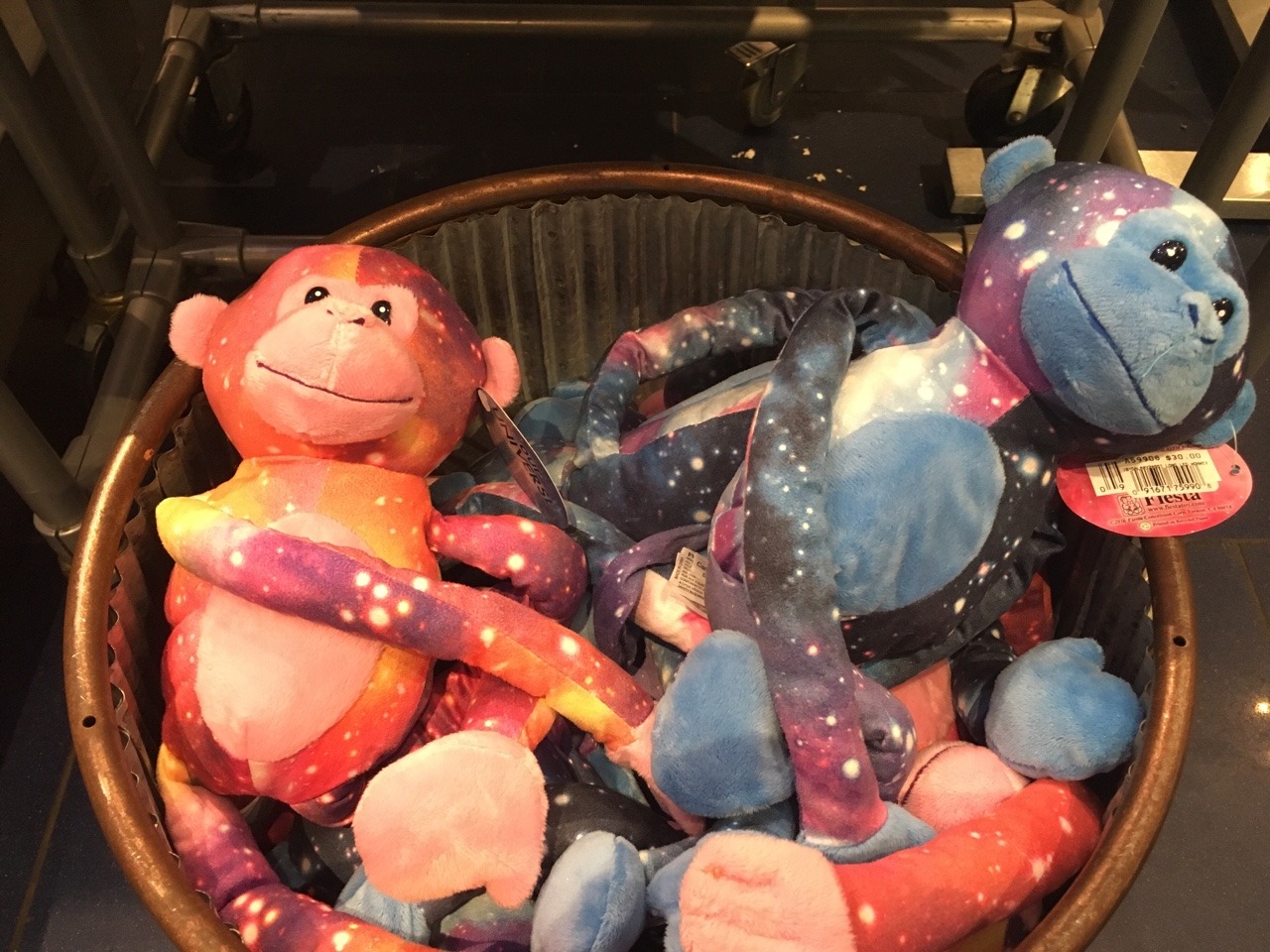 space monkey teddy