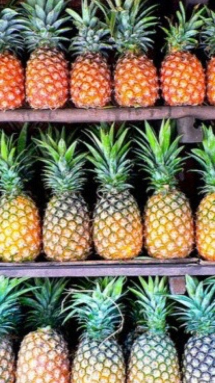 pineapple tumblr wallpaper
