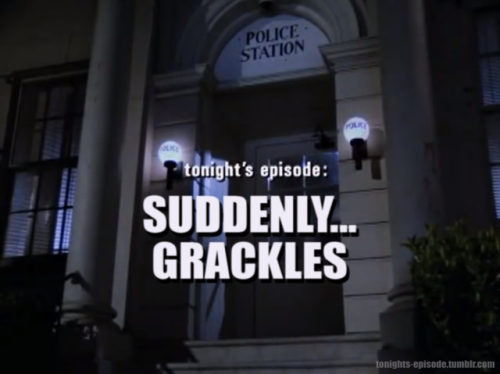 tonights-episode:tonight’s episode: SUDDENLY… GRACKLES