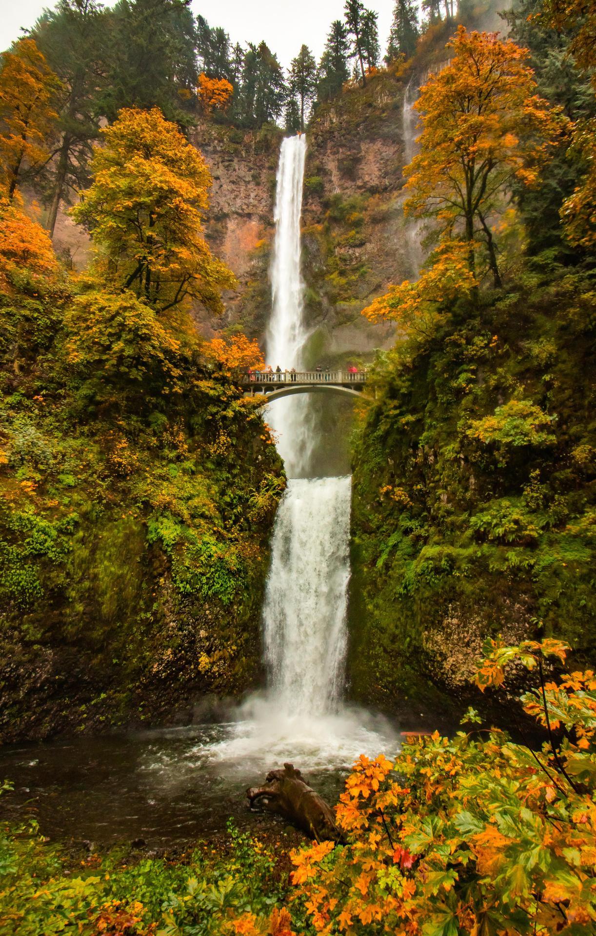 hartoger — amazingtravelpictures: Autumn colors at Multnomah...