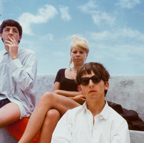 demonzebr:Photographs of George Harrison, Paul McCartney and...