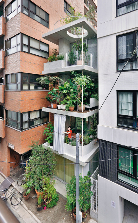 subtilitas:Ryue Nishizawa - Vertical garden house, Tokyo 2013....