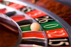 casino dolphins spiel spielautomat schlüssel kaufen