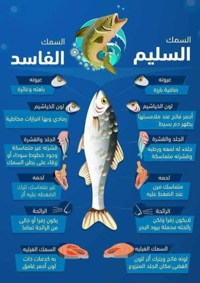 كيف تعرف سمك طازج