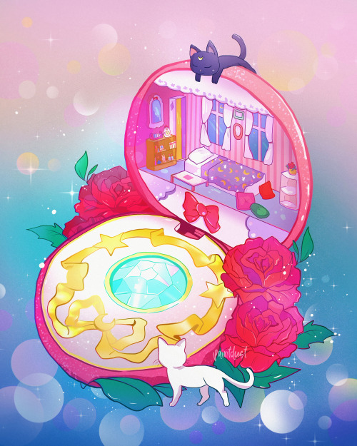 sailor moon polly pocket