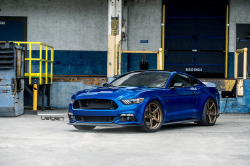 carpr0n:Starring: Ford MustangBy VelgenWheels