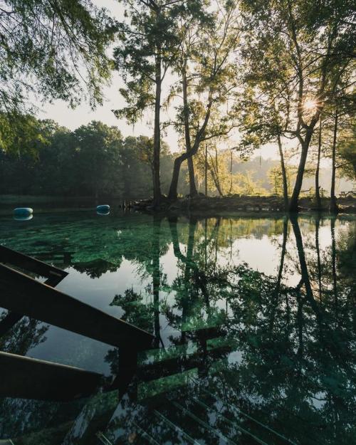 adventuresinfinity:An early morning at Ginnie Springs located...