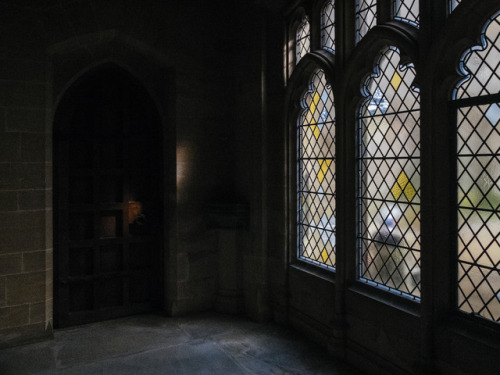 billieraephoto:Light fall in Fitzalan Chapel, Arundel Castle...