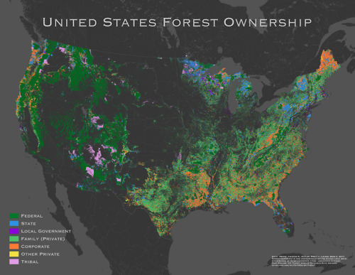 maptitude1:Forest ownership in the United States