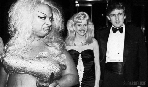 divine drag queen and donald trump