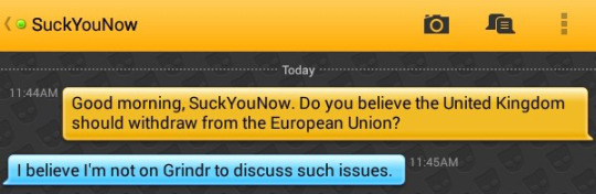 Me: Good morning, SuckYouNow. Do you believe the United Kingdom should withdraw from the European Union?
SuckYouNow: I believe I'm not on Grindr to discuss such issues.
