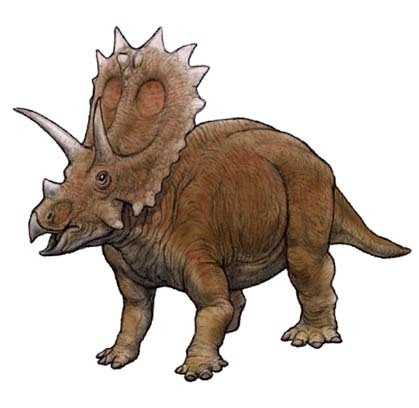 Near the horned face, Anchiceratops (1914) Phylum... - The Evolution of ...