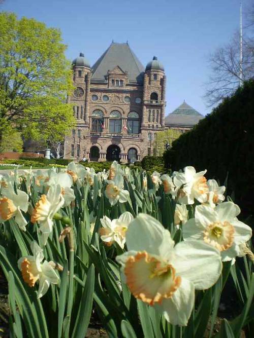 witeksphotoscanada