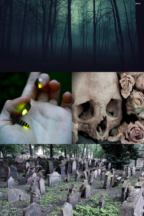 irl people // skulls // cemeteries // mod ruby thank you so much for the kind words!! <3 fae this one was rly fun tbh!! otherkin otherkin aesthetics