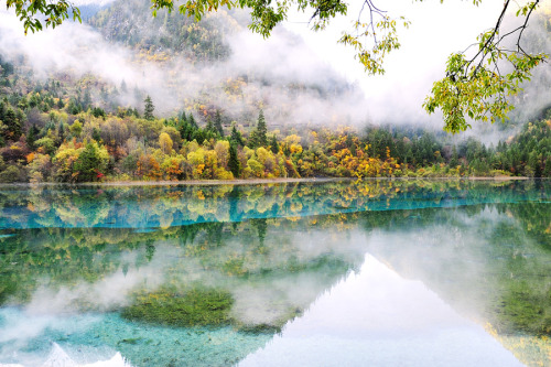 Jiuzhaigou | China (by Allan Oman)