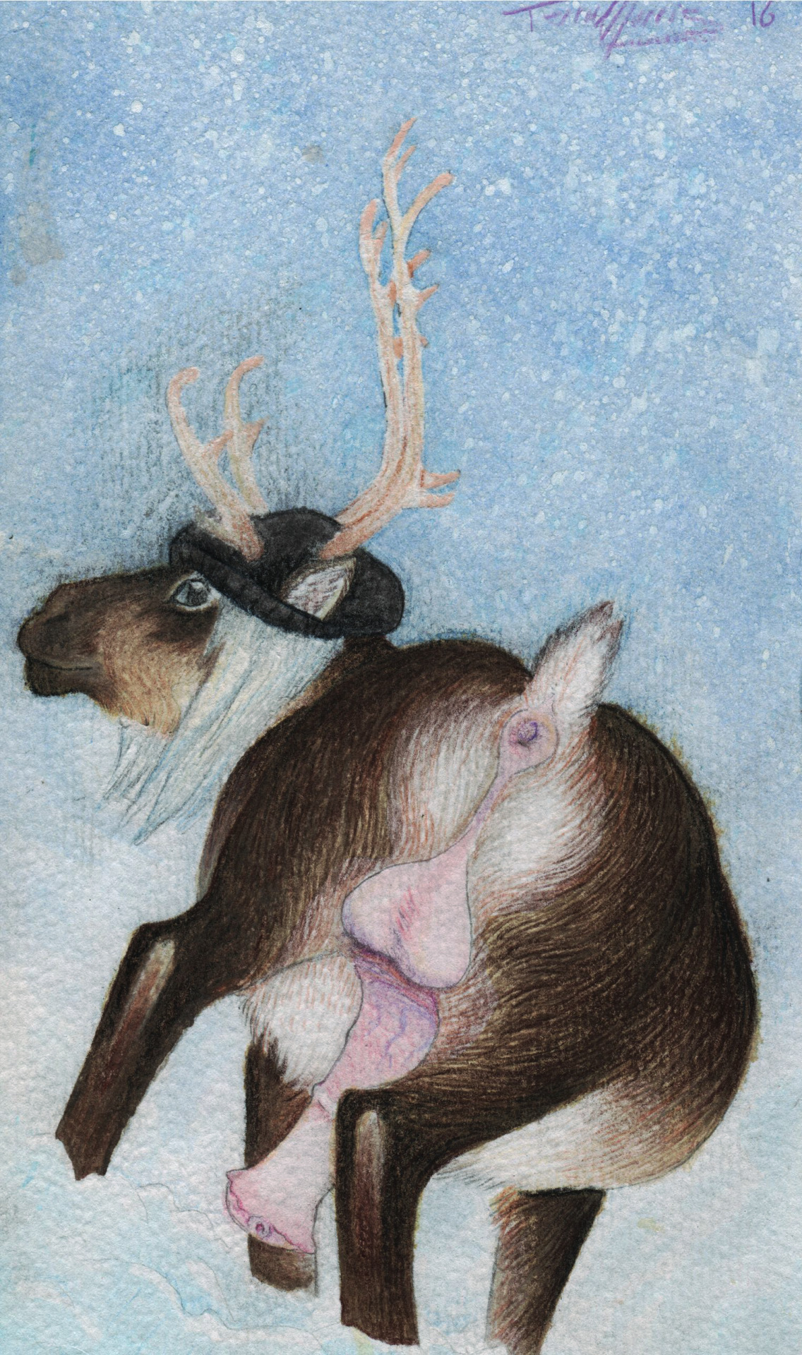Furry Reindeer Porn - art made for rats, by rats