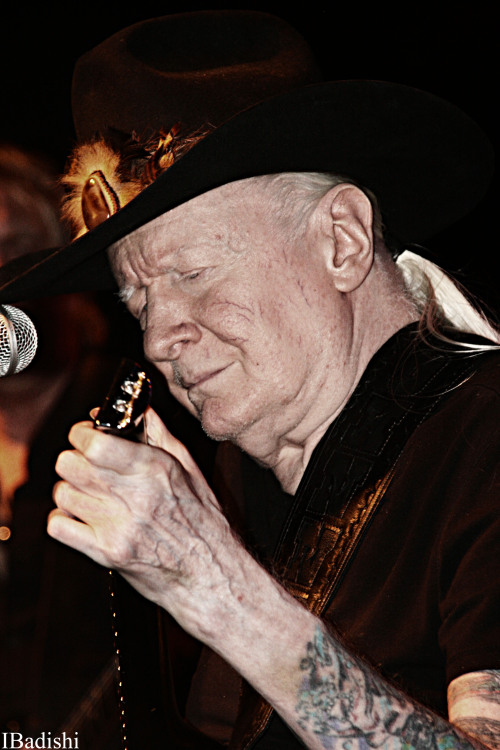 Johnny Winter blues guitar rock blues white blues live show photography