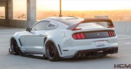 musclefords:#ford#Mustang#SVT tag–>...