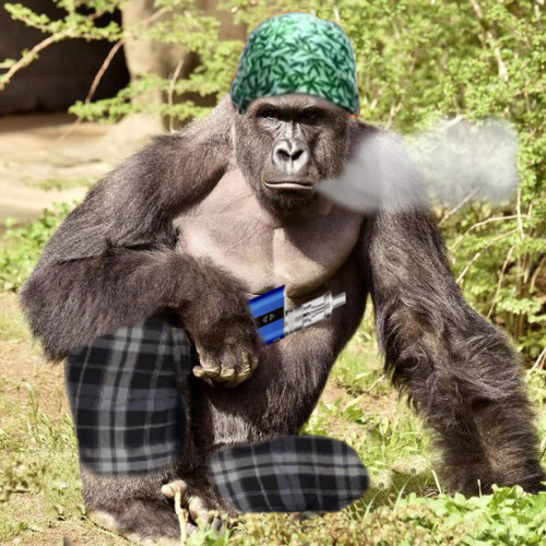 And tonights challenge is…a Vaping Ape! Clock starts now!...