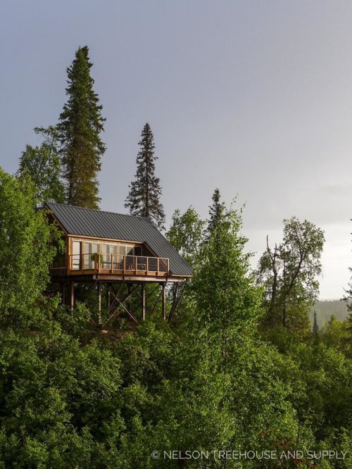 utwo:Alaskan Mountain Treehouse© nelsontreehouse