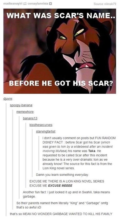 itsstuckyinmyhead:The Lion King and Tumblr